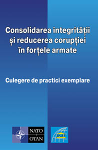 Romanian edition of the BI Compendium
